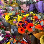 Trader Joe Flowers That Bring Joy to Everyday Living